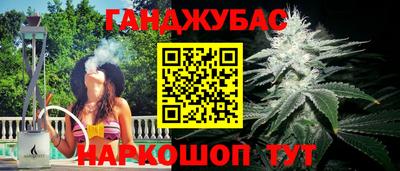 гашик Гагарин