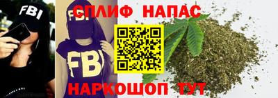 гашик Гагарин